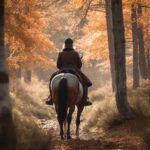 Complete guide for horsebackriding around Quinta do Retiro